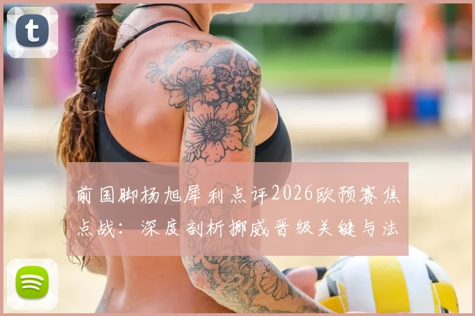 前国脚杨旭犀利点评2026欧预赛焦点战：深度剖析挪威晋级关键与法国前锋线致命威胁